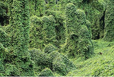 《羊蹄山之魂》总监承诺：将像前作一样忠实还原日本、美与危险的完美交融